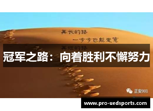 冠军之路：向着胜利不懈努力