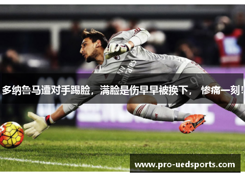 多纳鲁马遭对手踢脸,满脸是伤早早被换下, 惨痛一刻! 多纳鲁马遭对手踢脸,满脸是伤早早被换下, 惨痛一刻!