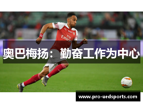 奥巴梅扬:勤奋工作为中心 奥巴梅扬:勤奋工作为中心