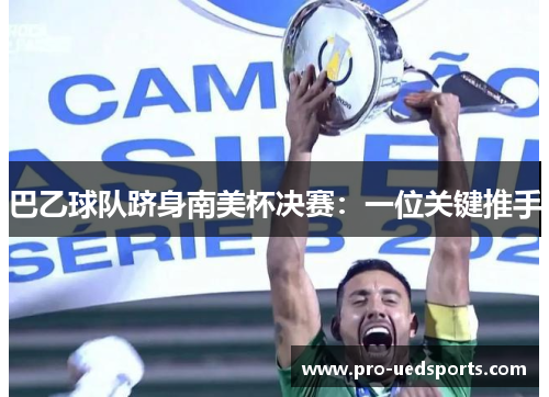 巴乙球队跻身南美杯决赛：一位关键推手