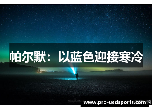 帕尔默:以蓝色迎接寒冷 帕尔默:以蓝色迎接寒冷